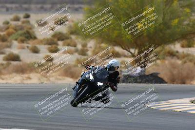 media/Apr-10-2022-SoCal Trackdays (Sun) [[f104b12566]]/Turn 5 Tree of Life (1040am)/